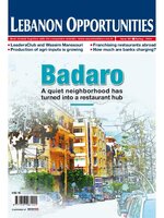 Lebanon Opportunities